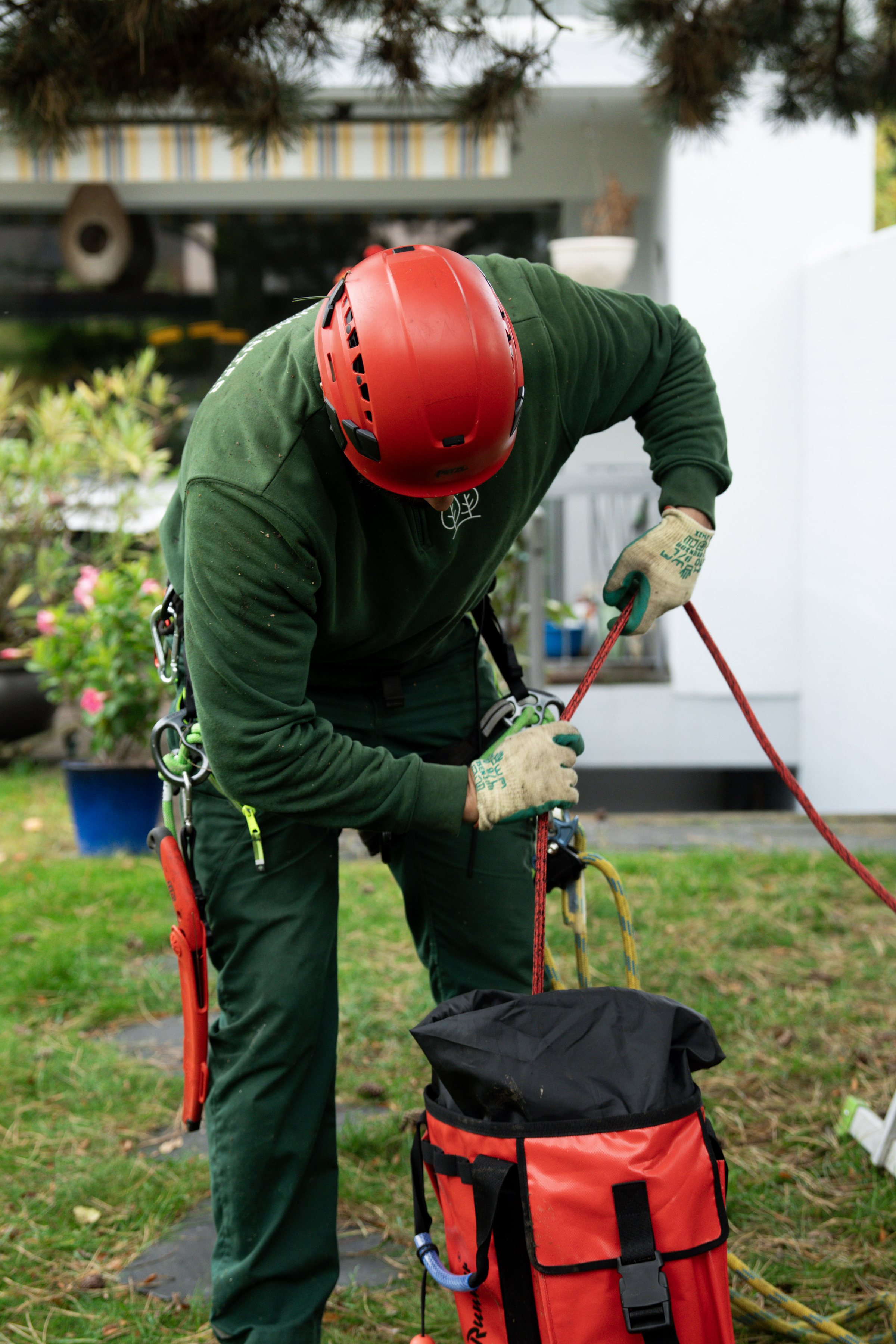 Baumpflege mit Seilklettertechnik von Schwenter Gartenunterhalt