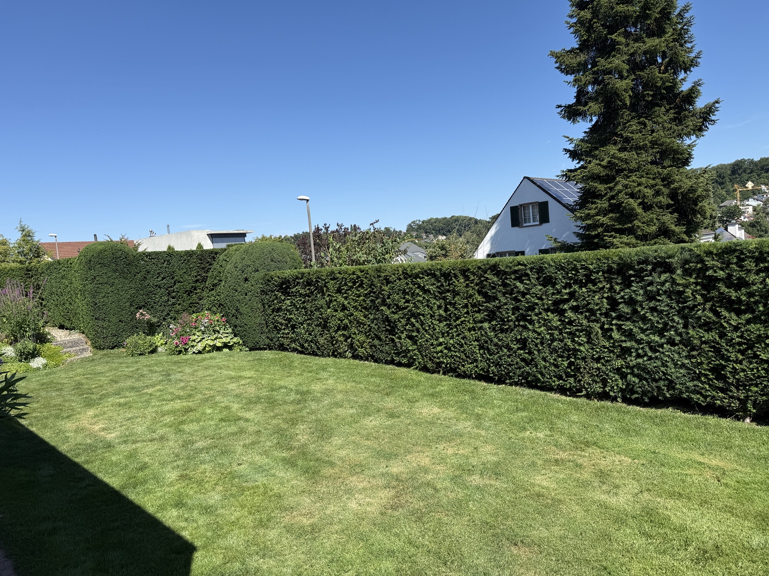 Fertig geschnittene Hecke mit gerader Linie im Garten